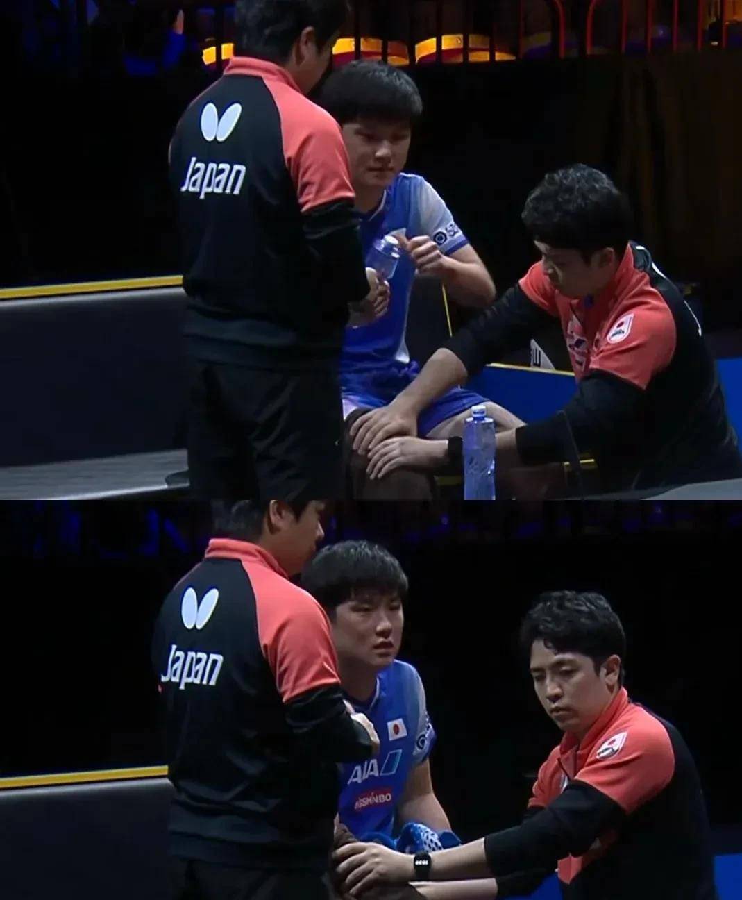 瑞典队险胜英格兰队,张本智和刷新纪录 瑞典队险胜英格兰队,张本智和刷新纪录